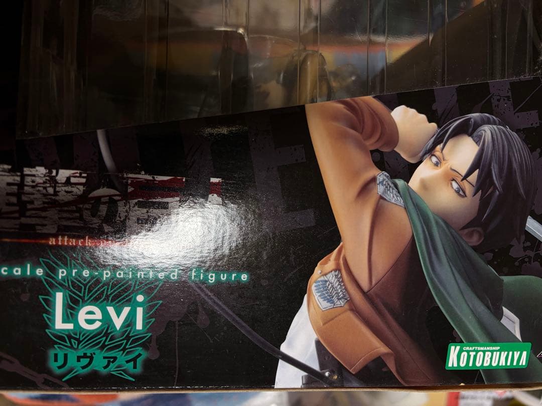 ＊＊＊そら豆＊＊＊