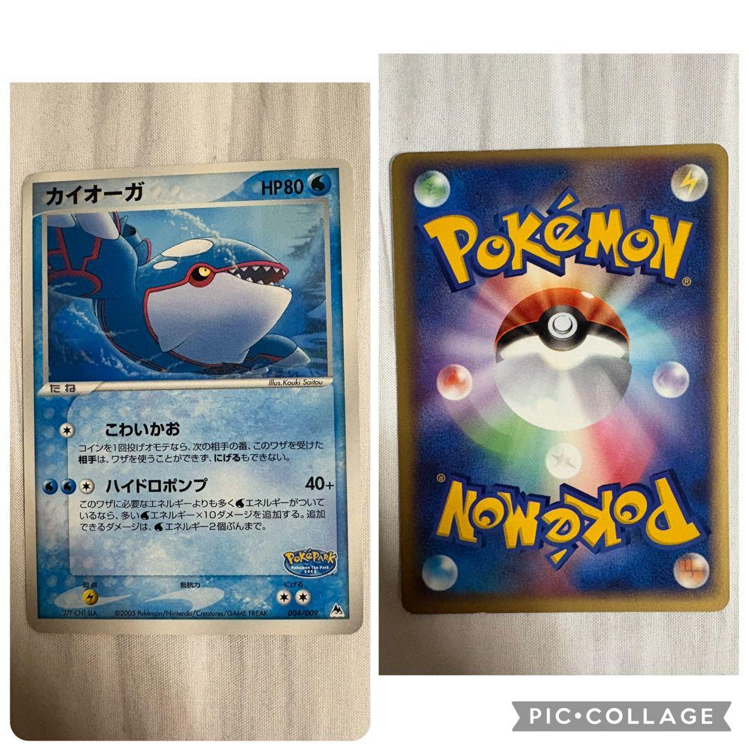 ポケパーク　ブルーシート　ポケカ