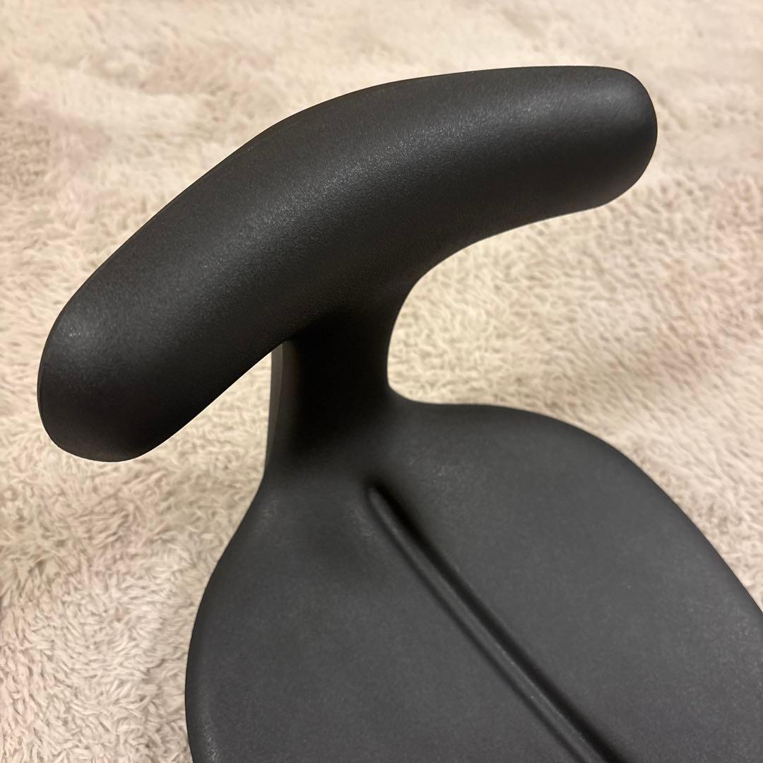 アーユルチェアー ayur-chair (座イス＆座面シートタイプ)