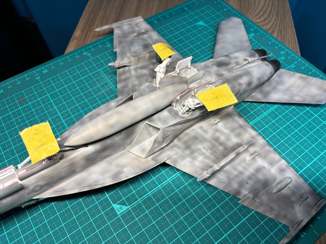 戦闘機　プラモデル　完成品　ハセガワ　1/48 F/A-18F