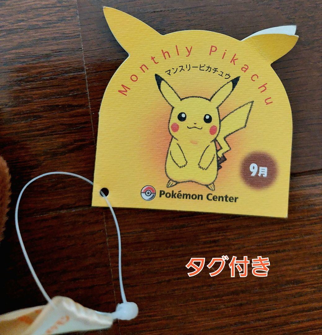 【タグ付き】ポケモンセンター ポケモン マンスリーピカチュウ 9月 年代物