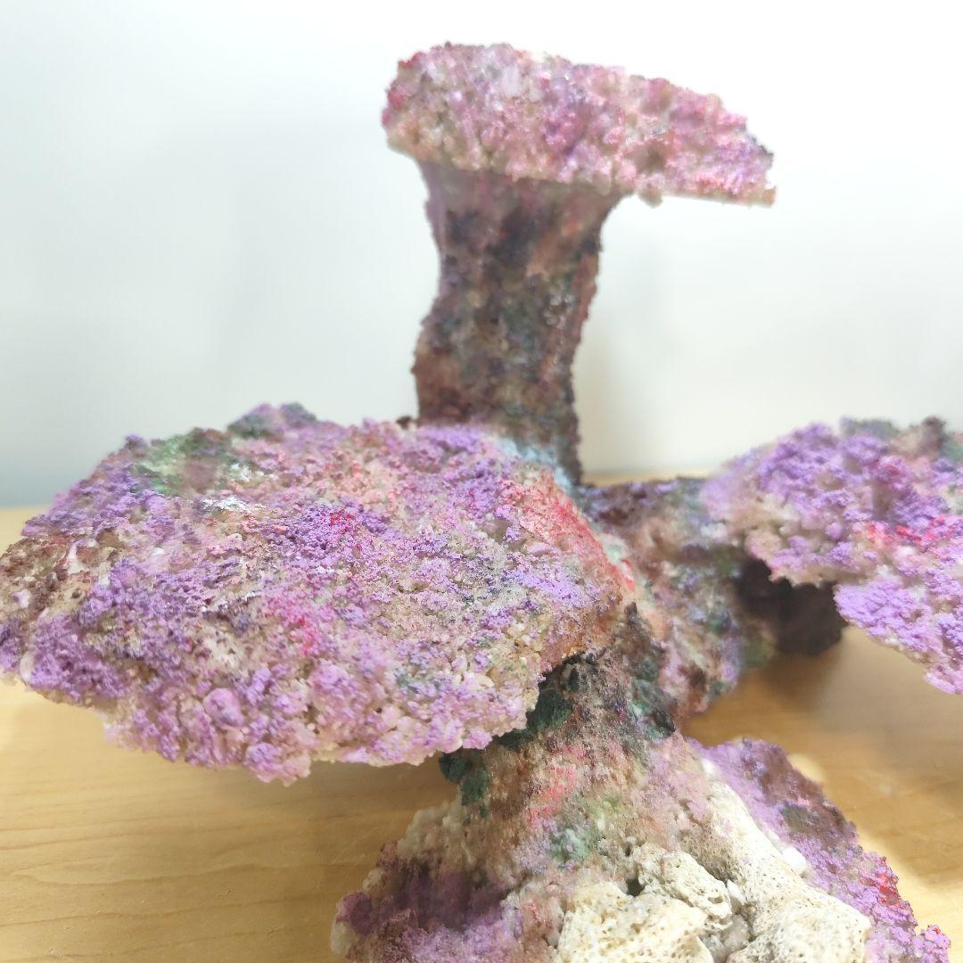 新品アク抜き不要 分離型人工ライブロック 60cm海水水槽用 レプリカ 多孔質4