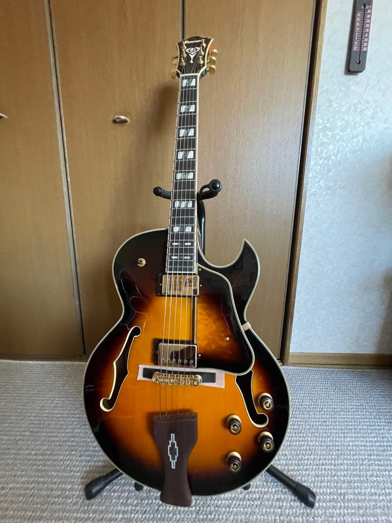 アイバニーズLGB30美品