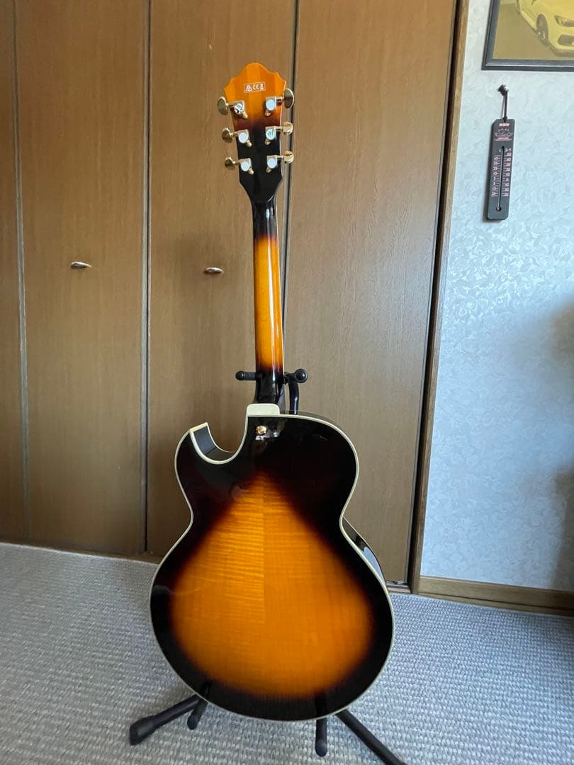 アイバニーズLGB30美品