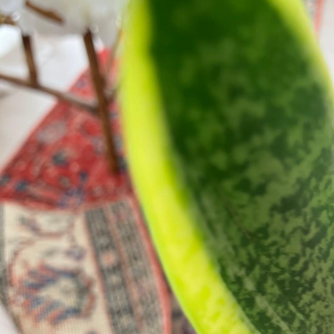 レッド53×163フローラル　ネイビー　ランナー　ロング　トルコヴィンテージラグ