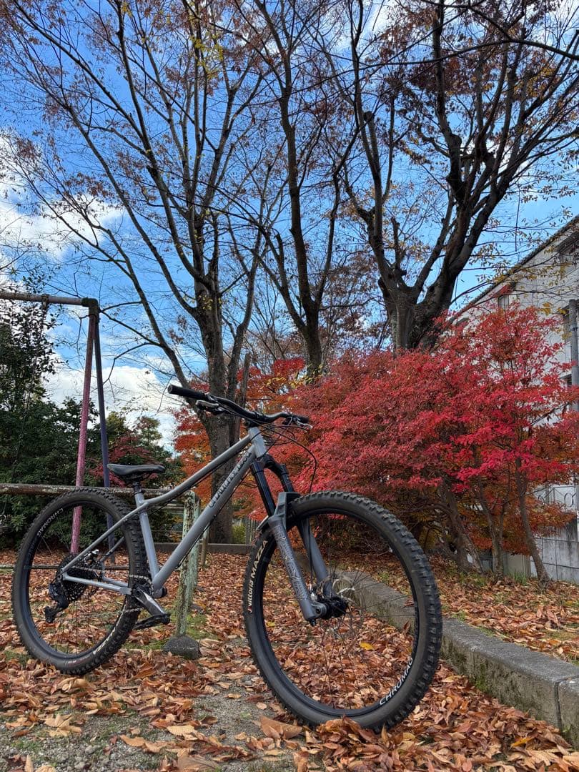 unauthorized 33rpm　ZEB搭載完成車