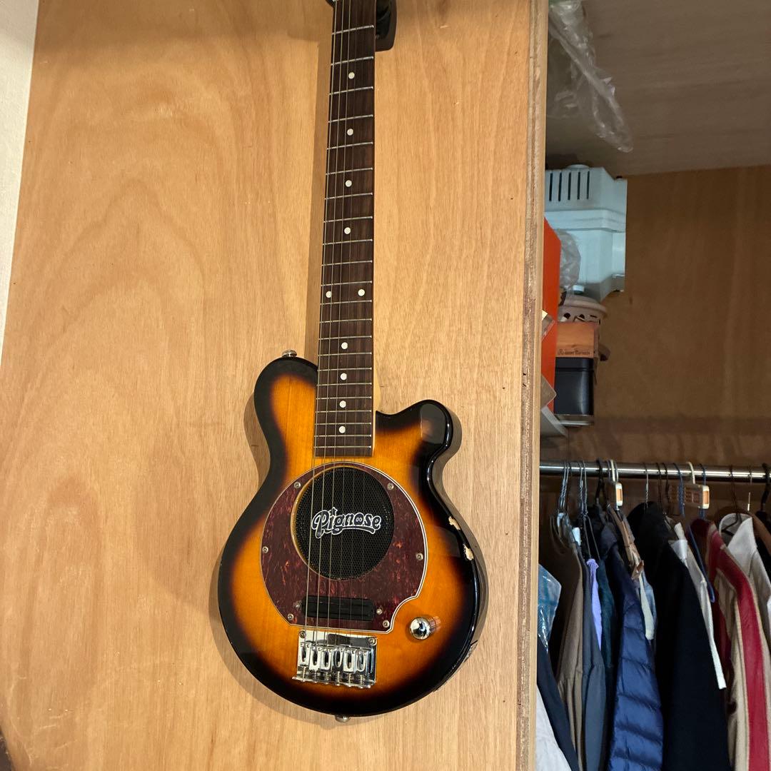 ピグノーズPGG200 サンバースト