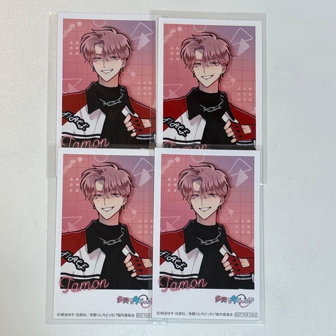 「多聞くん今どっち!?」　ミニフォト　福原多聞　4枚