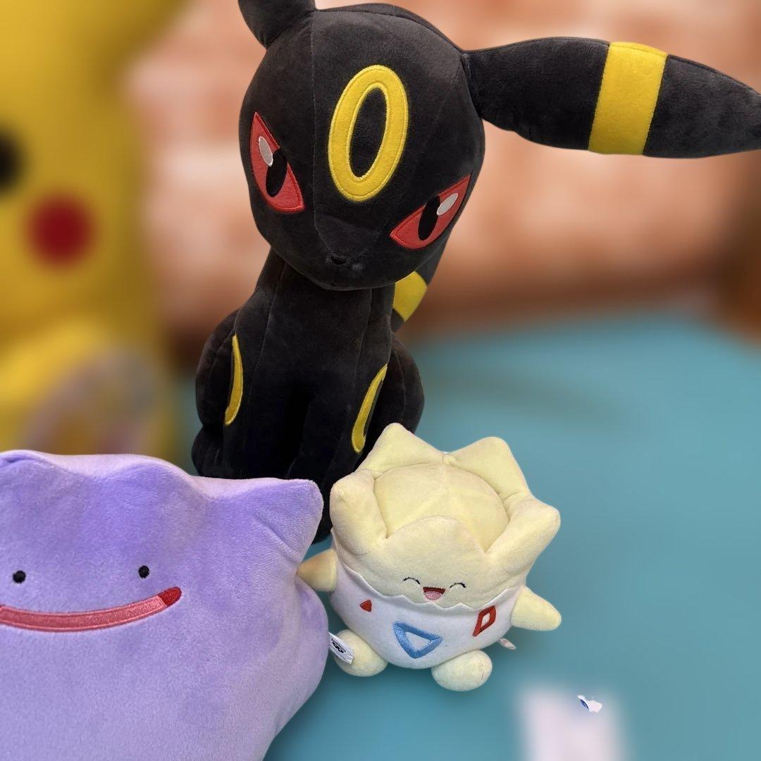 ポケモン ぬいぐるみセット 中型