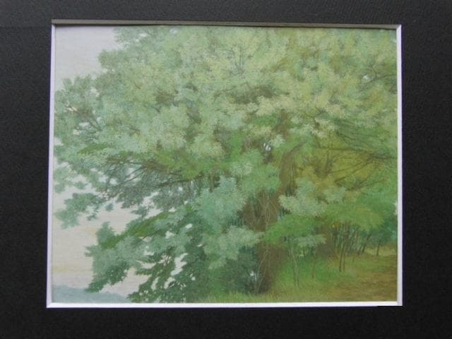 丹羽貴子、【菁々】、希少な額装用画集より、状態良好、新品額装付