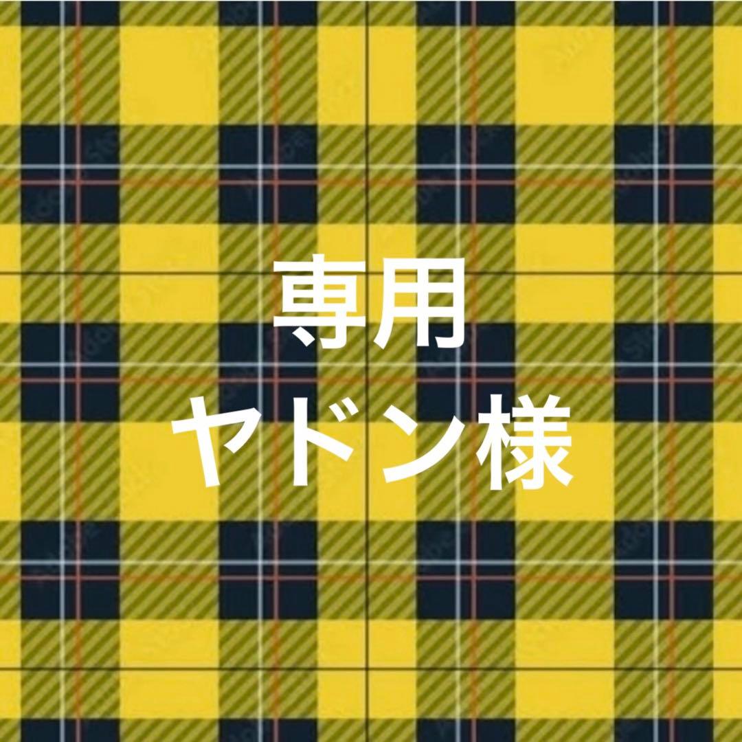 専用ページ ヤドン様