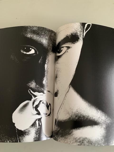 薔薇 BA-RA-KE-I 三島由紀夫 写真集 新版　細江英公