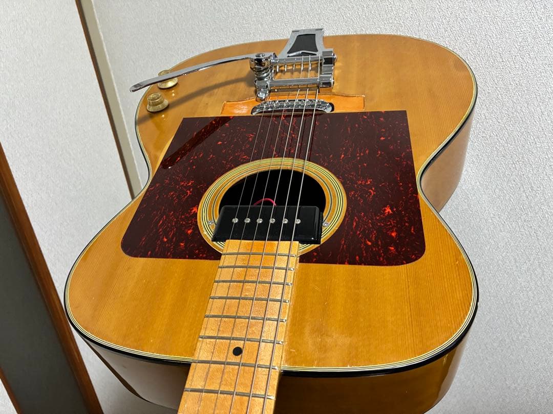 ブランド,モデル名不明　改造品　HC付　フルアコ