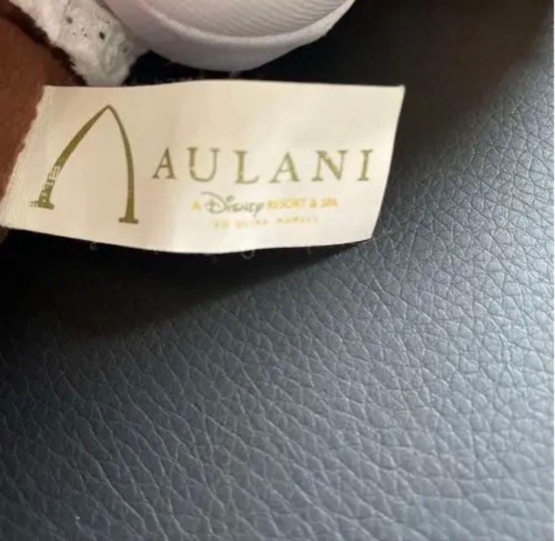 [レア]アウラニ ディズニー ハワイ　ミッキー ミニー 2個セット 30cm