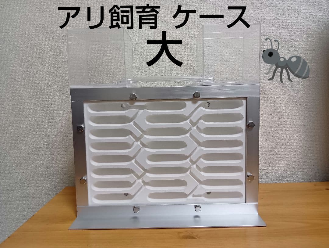 アリ飼育ケース　石膏巣 特大