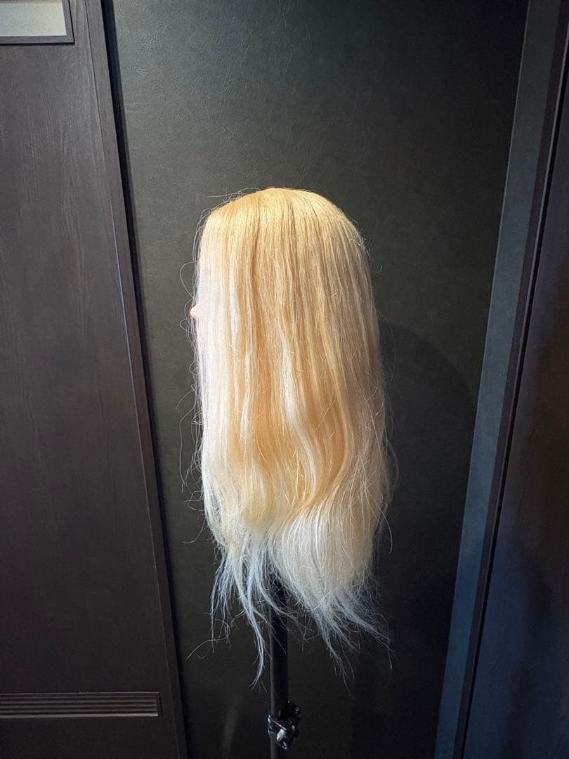 ブロンドロングウィッグ東京チャームNo.66