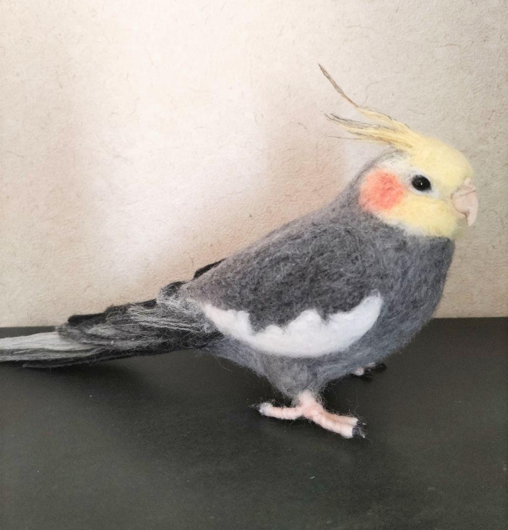 羊毛フェルト オカメインコ ノーマル オス