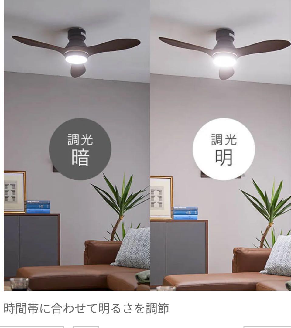 LOWYA シーリングファンライトニュージャバリア2 ブラック/ブラウン
