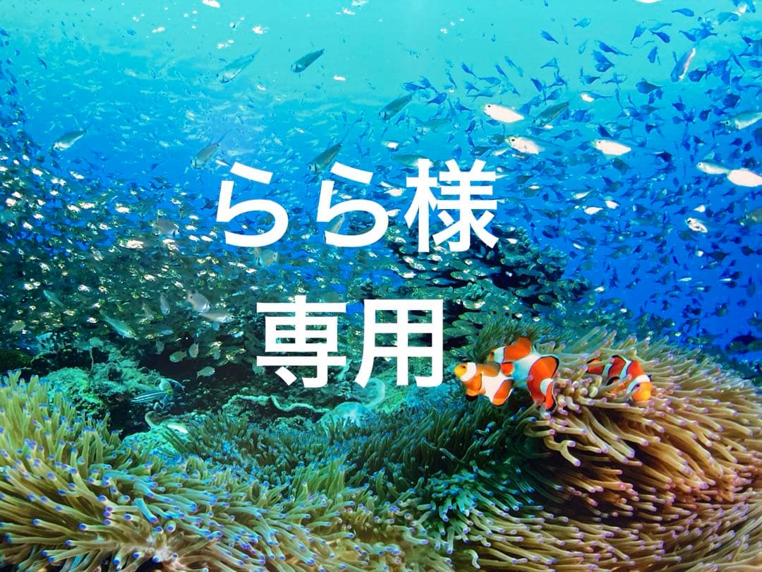 エンビロンラドエンリッチとモイスチャージェル2