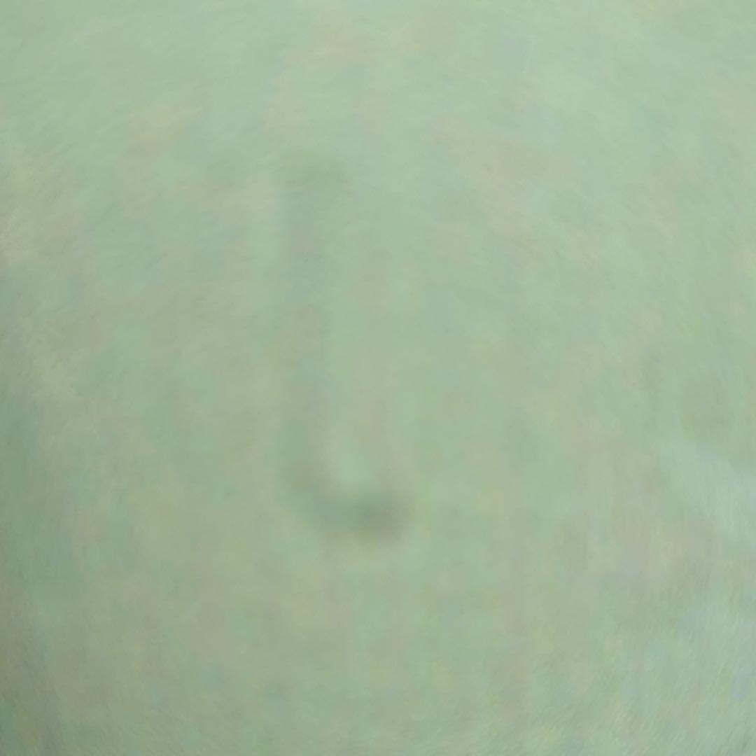 ディックブルーナ　アクリル板　珍品