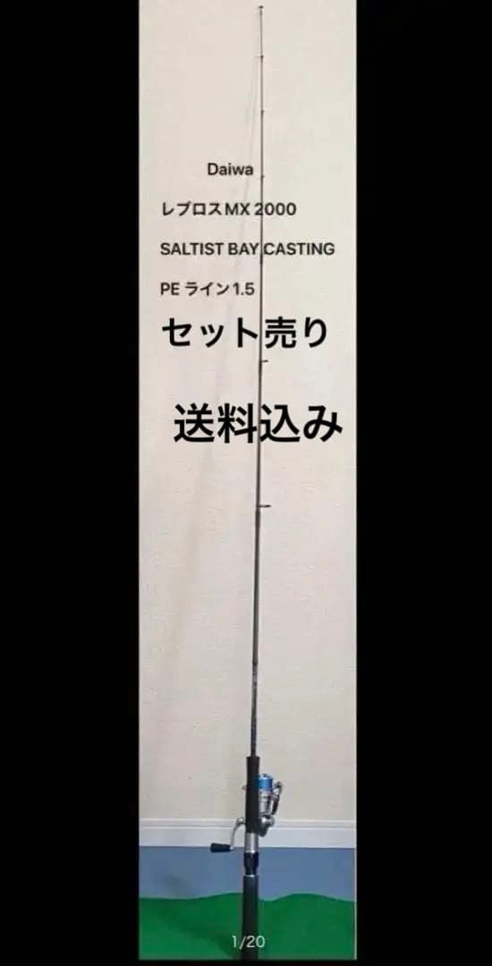 Daiwa SALTISTBAYCASTING &レブロスMX2000