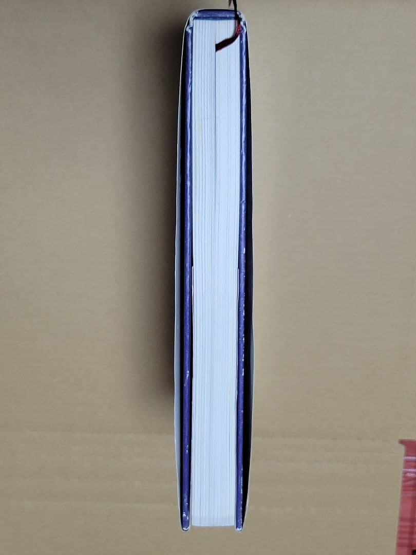 愛育社 アキ・カウリスマキ ペーター・フォン・バーグ著