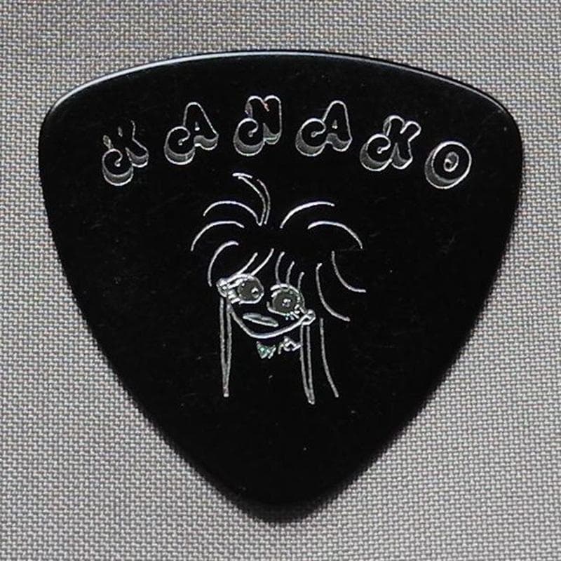 Pincess Princess プリンセス プリンセス ギターピック