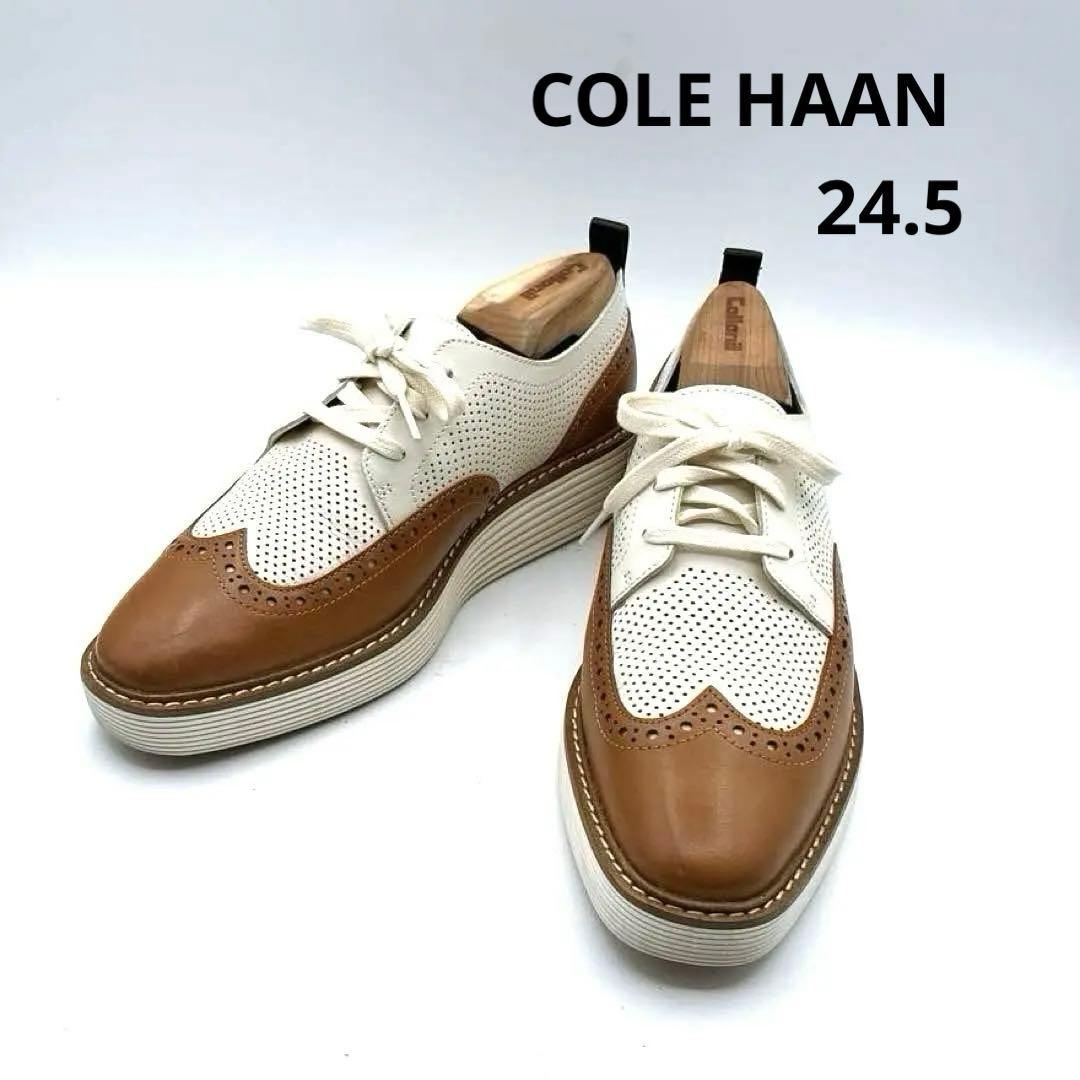 コールハーン　オックスフォード　革靴　ウイングチップ　パンチング　24.5