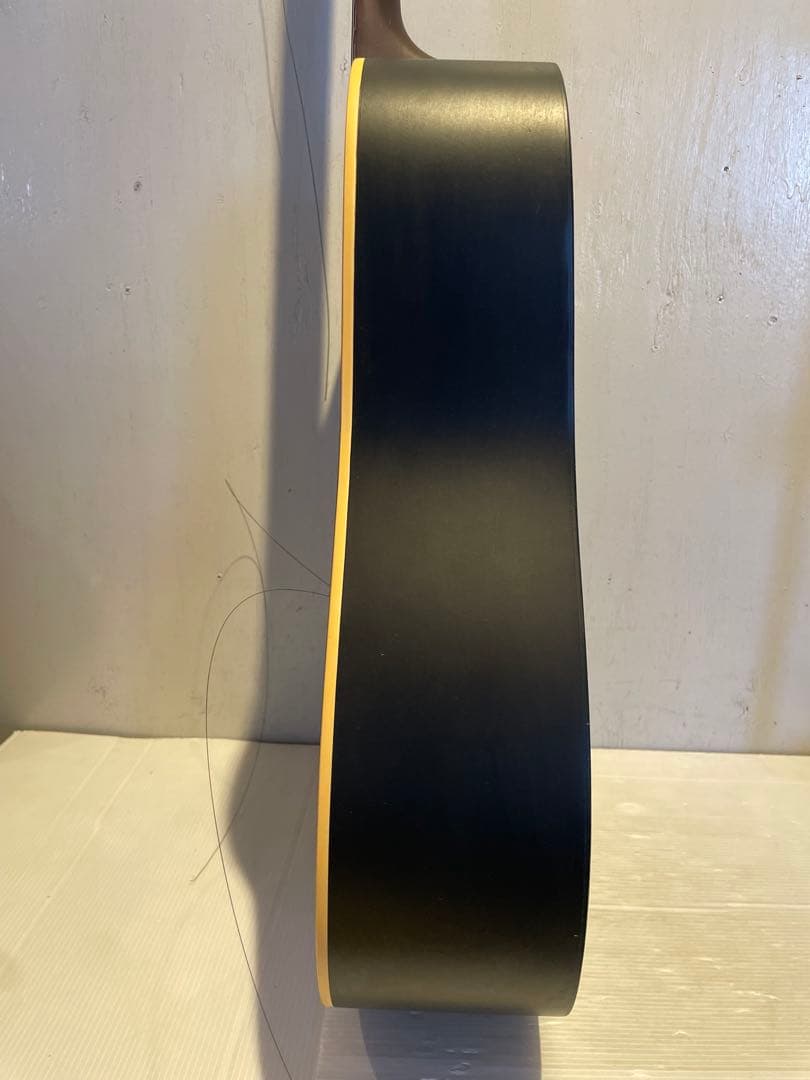 Art＆Lutherie アコースティックギター　楽器　機材　趣味