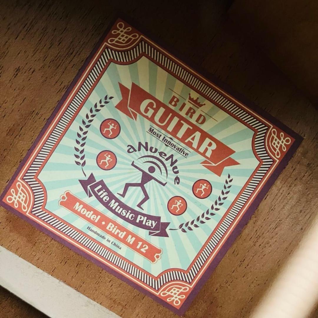 【希少 美品】aNueNue Bird M12 ソフトケース付き アヌエヌエ