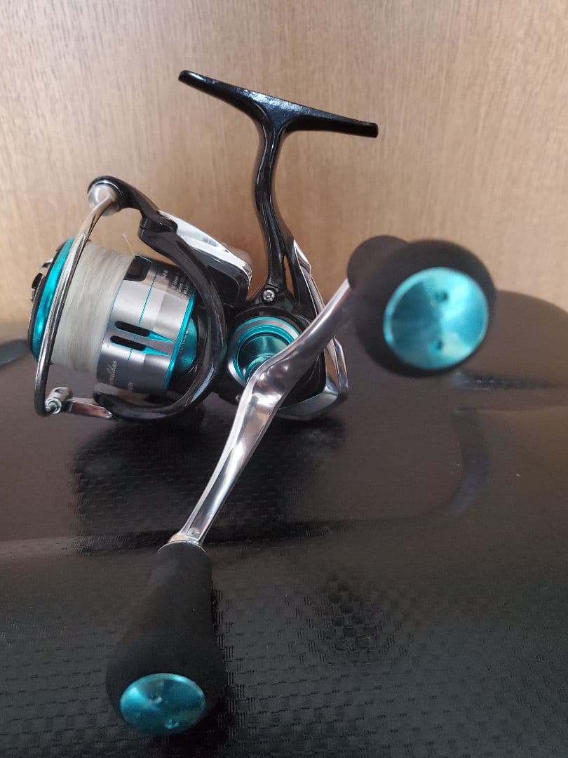 ダイワ19エメラルダスリール LT2500S-DHリーダー2.5号　2号おまけ