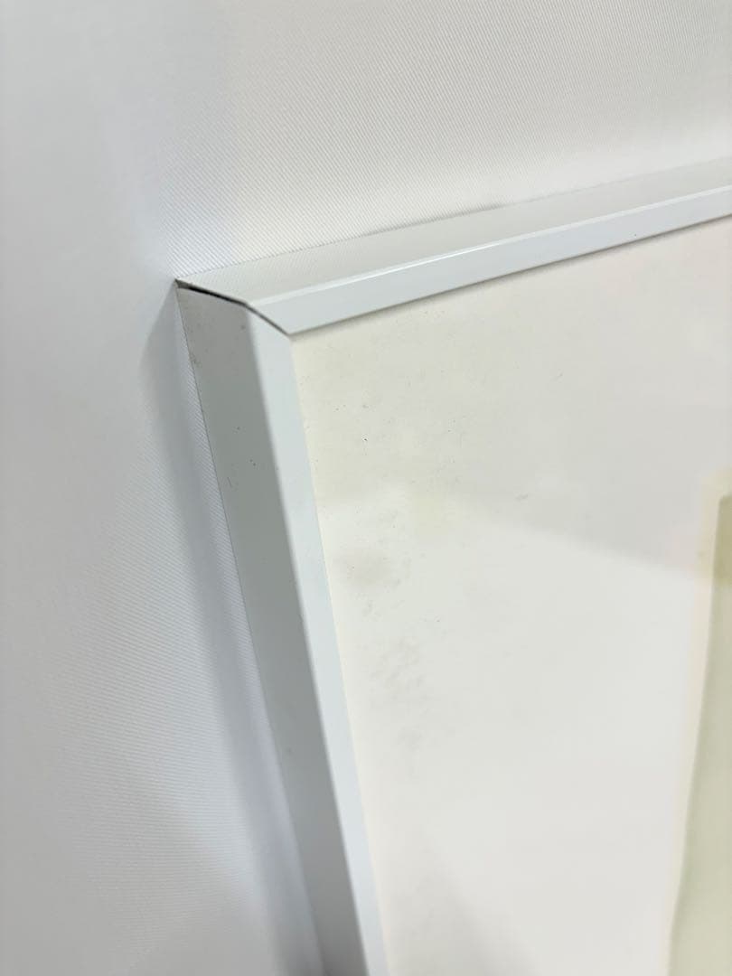 アナピア・アントニーニ　直筆サイン　絵画　リトグラフ　88/99