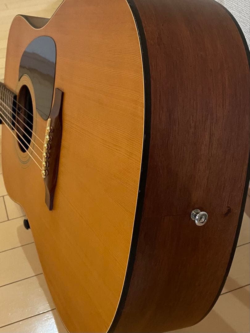 Takamine アコースティックギター