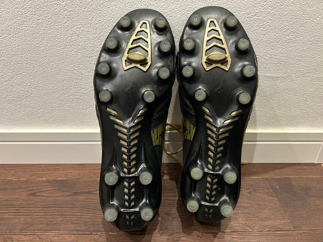 モレリアネオ4 β 24cm