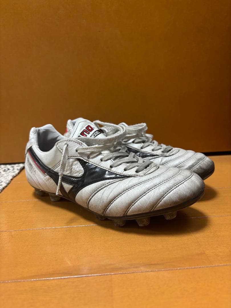 モレリア2　25cm