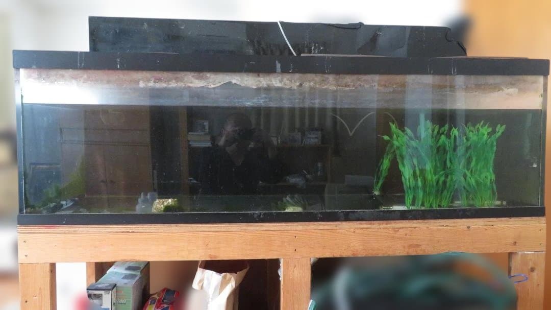 アクリル水槽　160cm×60cm×50cm