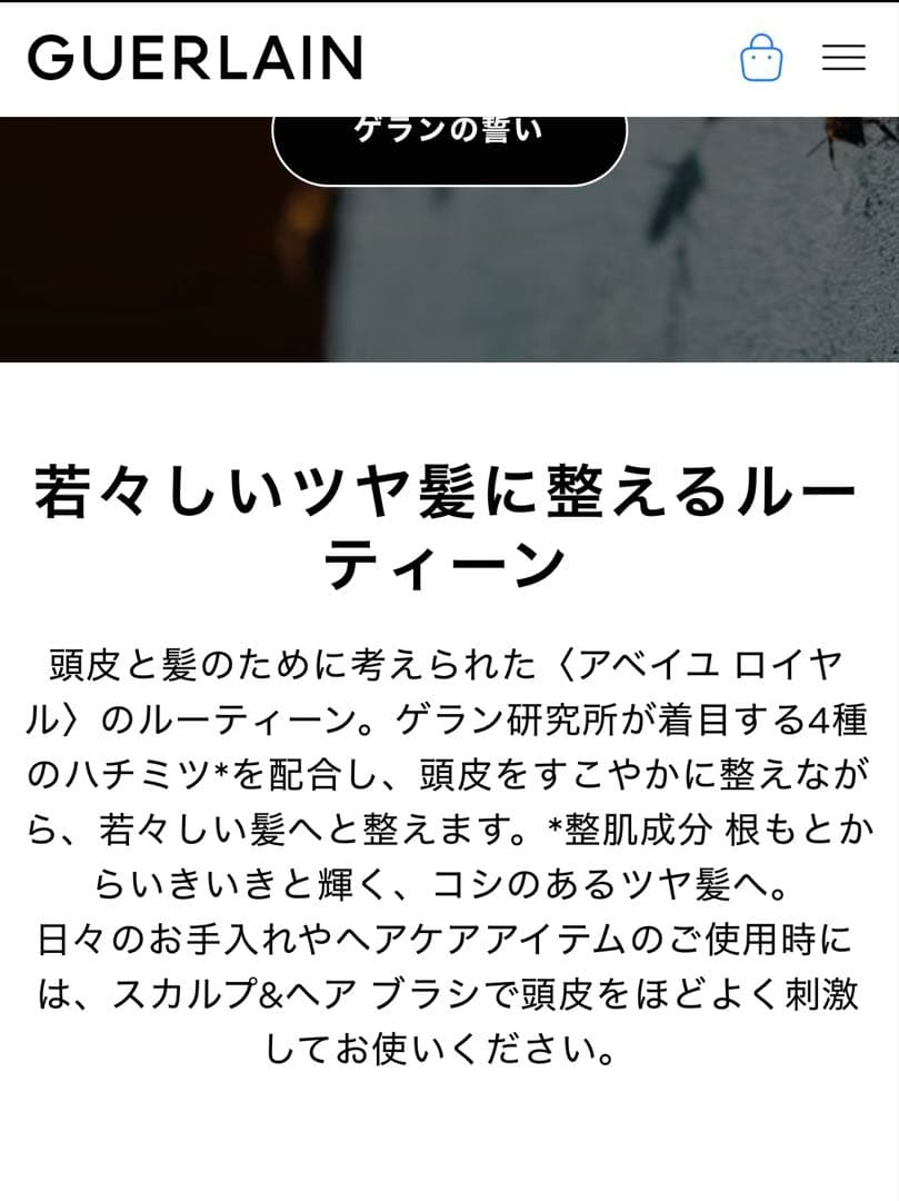 【未使用同様】ゲラン⭐︎アベイユ ロイヤルスカルプ&ヘア ダブルR マスク