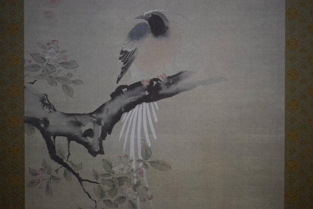 複製/狩野探幽/海常に尾長鳥/工芸/桐共箱付/布袋屋掛軸HH-933