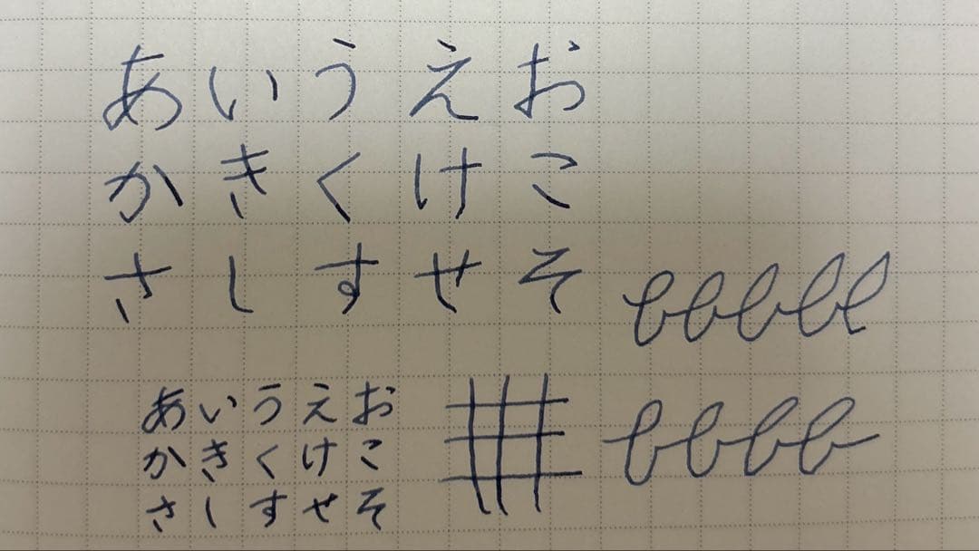 アウロラ 高級万年筆 バイアディナポリ F