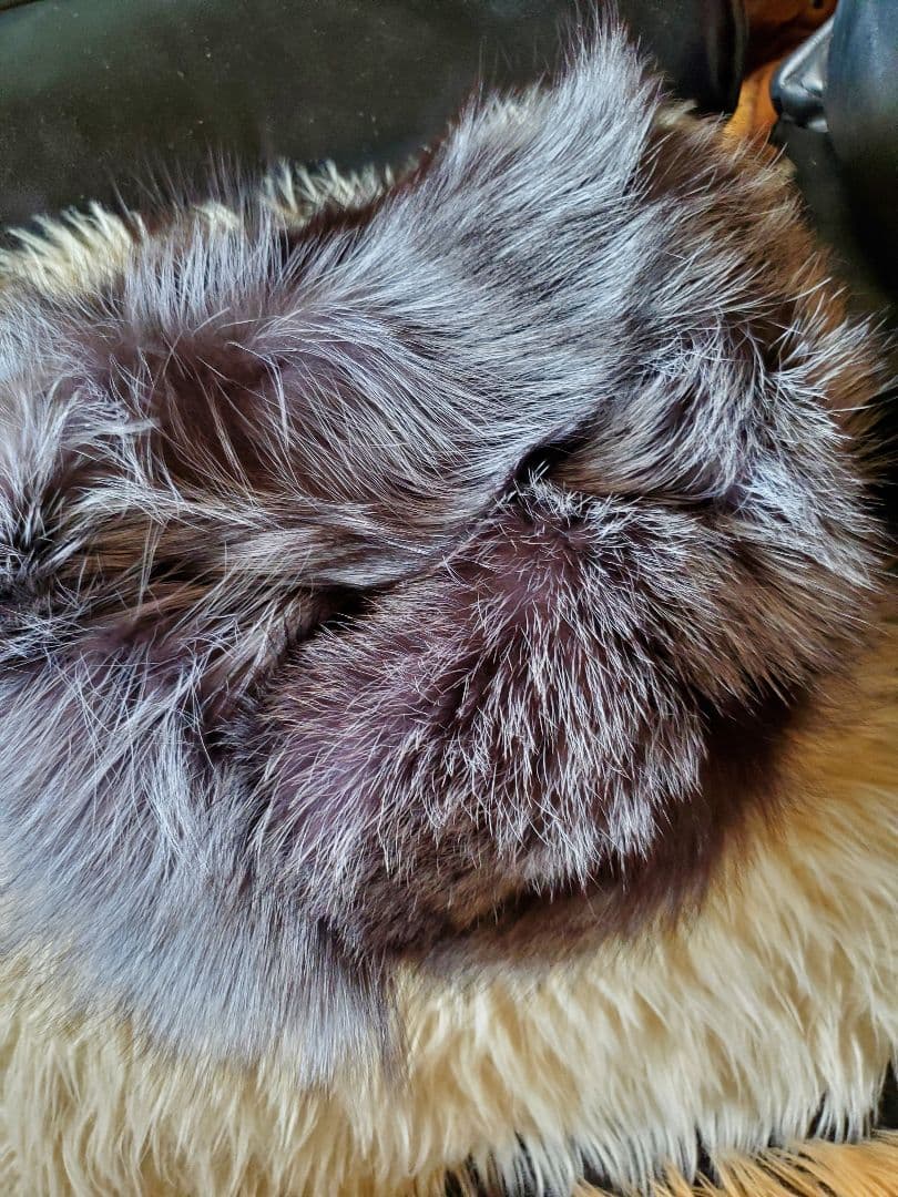 新品限定☆豪華シルバーフォックスを両面で使ったネックウォーマー/ 毛皮ファー