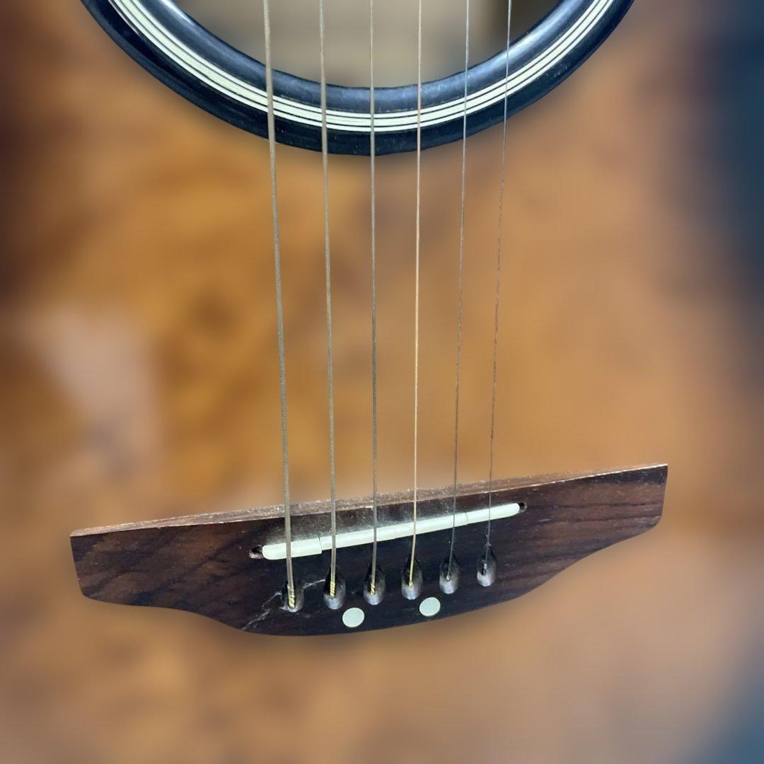 Blueridge（ブルーリッジ）ギター B アコースティックギター ブラウン