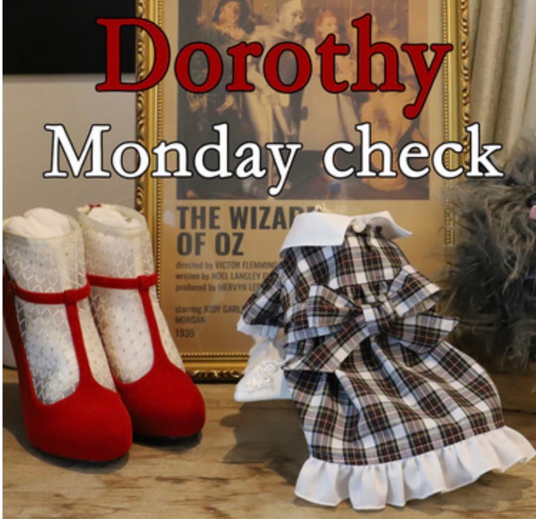 アトリエgg ドロシー　16