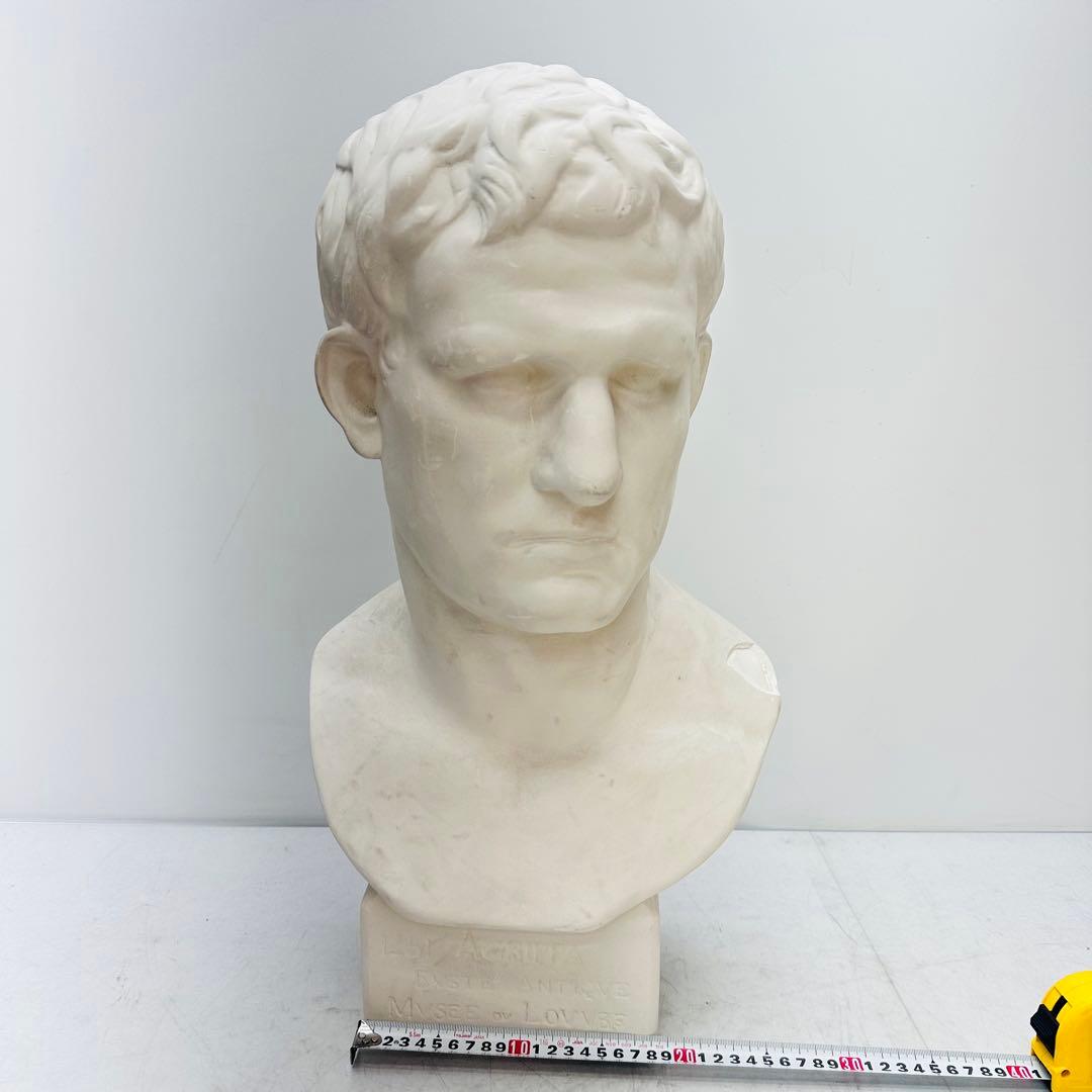 アグリッパ胸像　石膏像