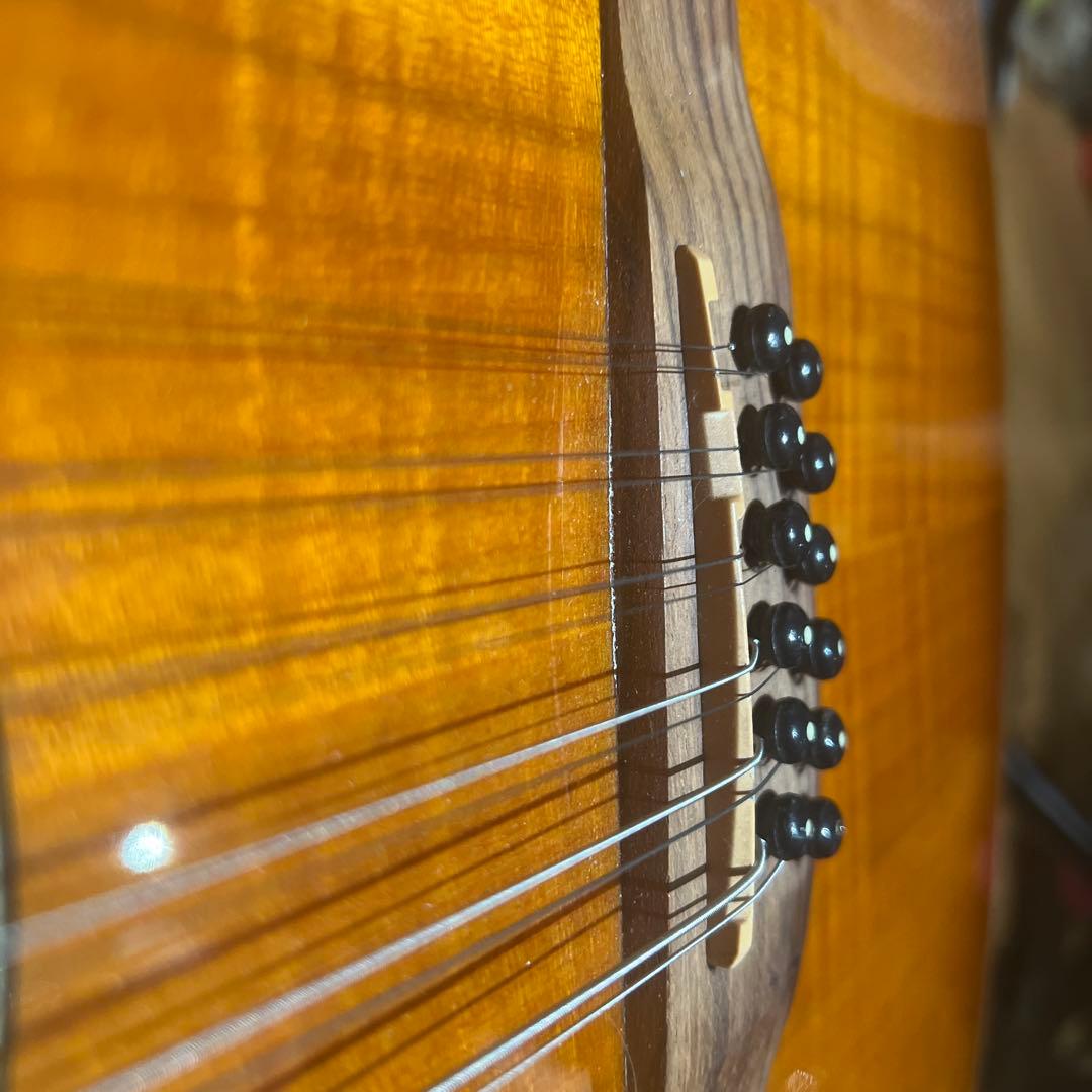 Aria 12弦 エレアコ FET12 KORG slimpitchおまけ