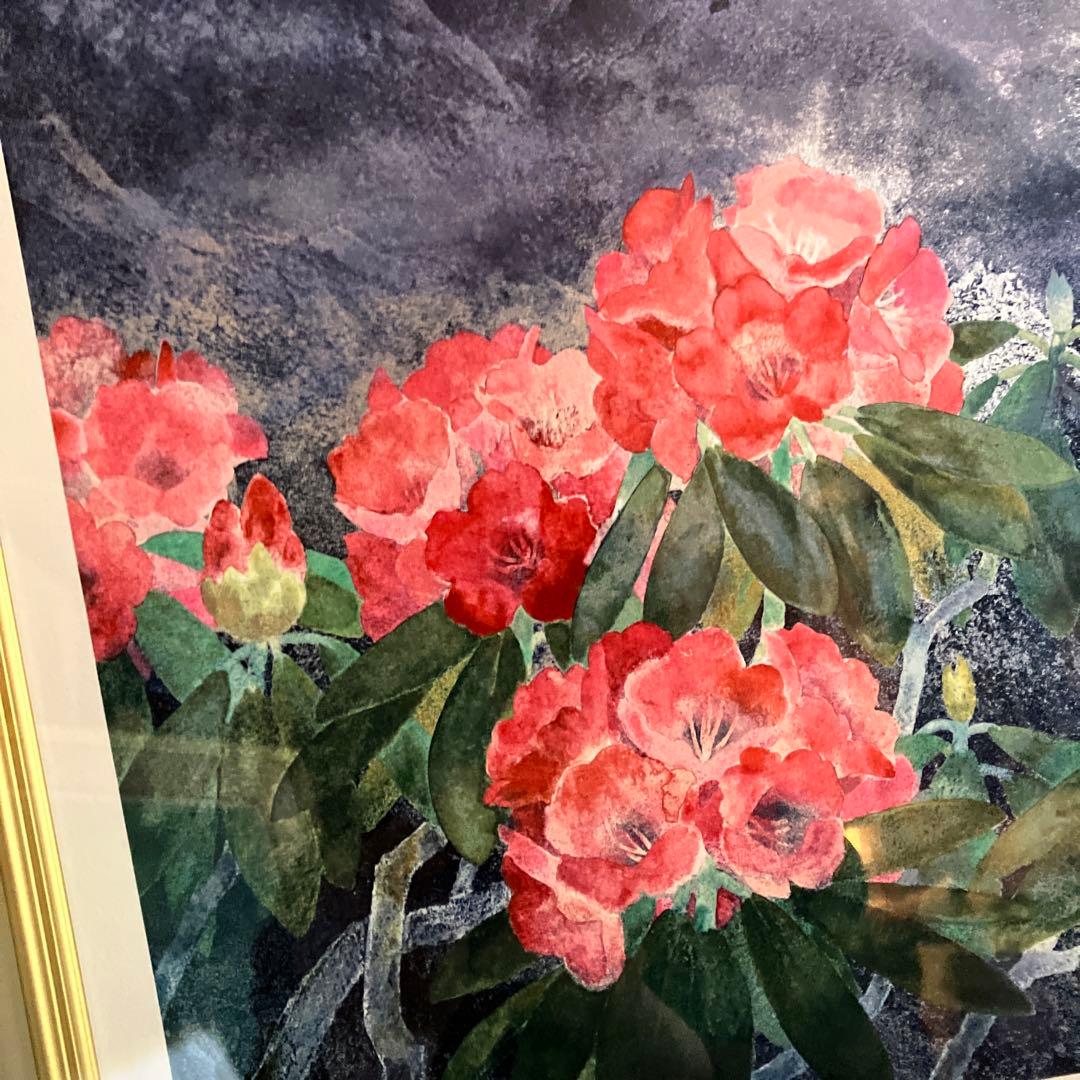 副王寺法林　ヒマラヤの花　文化勲章受賞記念　リトグラフ