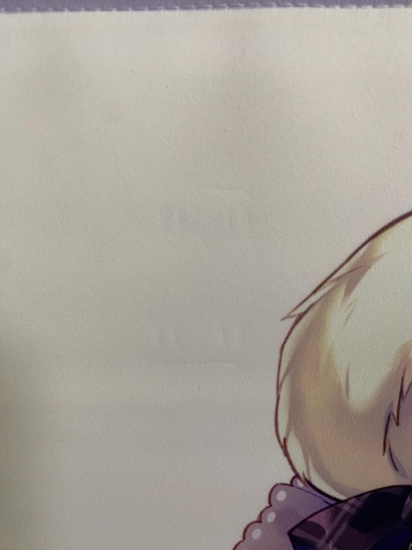 るび様　タペストリー