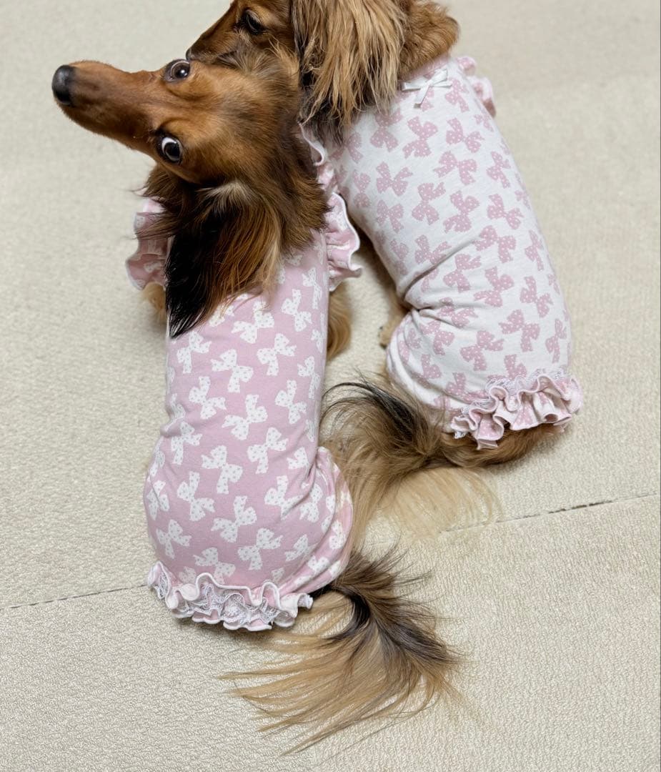 ダックスフンド　オーダーページ　ふりふりロンパース　犬服　春服　ハンドメイド犬服