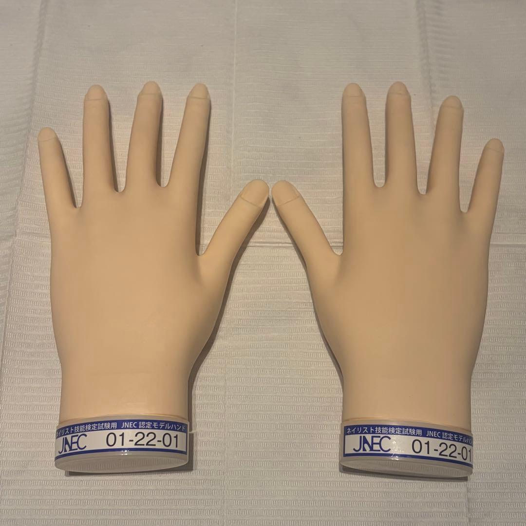 ハンドくん　JNEC認定モデルハンド　両手