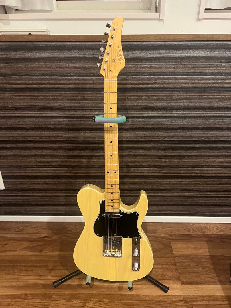 フジゲン　FGN テレキャスター　JIL2-ASH