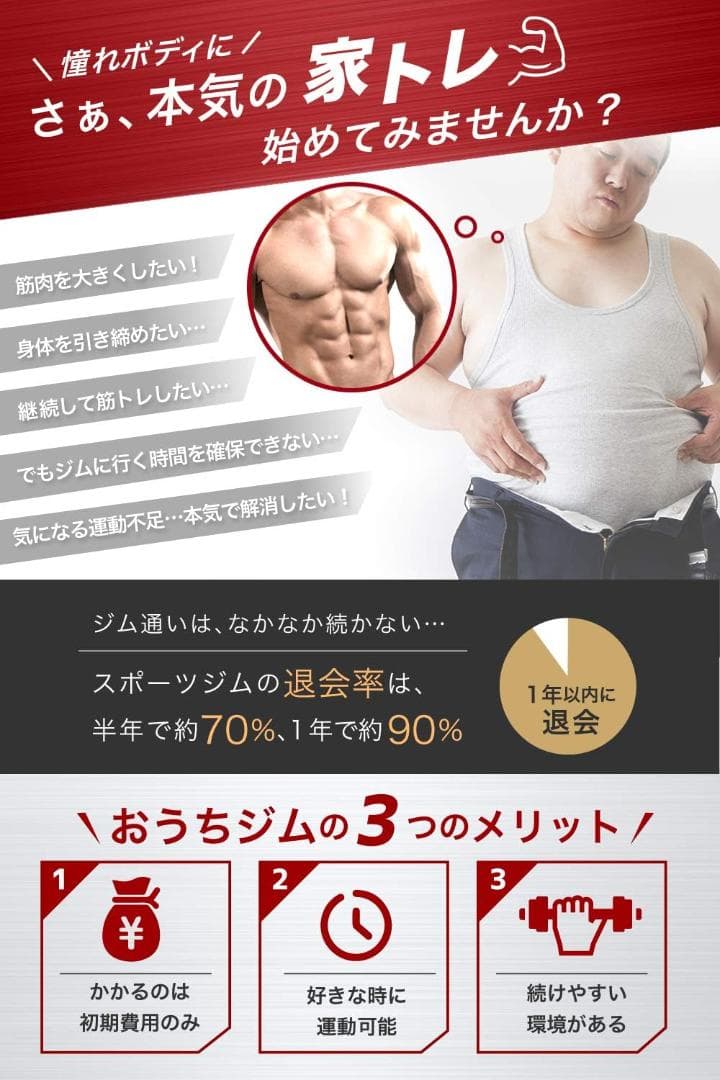 PYKES PEAK (パイクスピーク) ぶら下がり健康器 懸垂マシン 懸垂バー